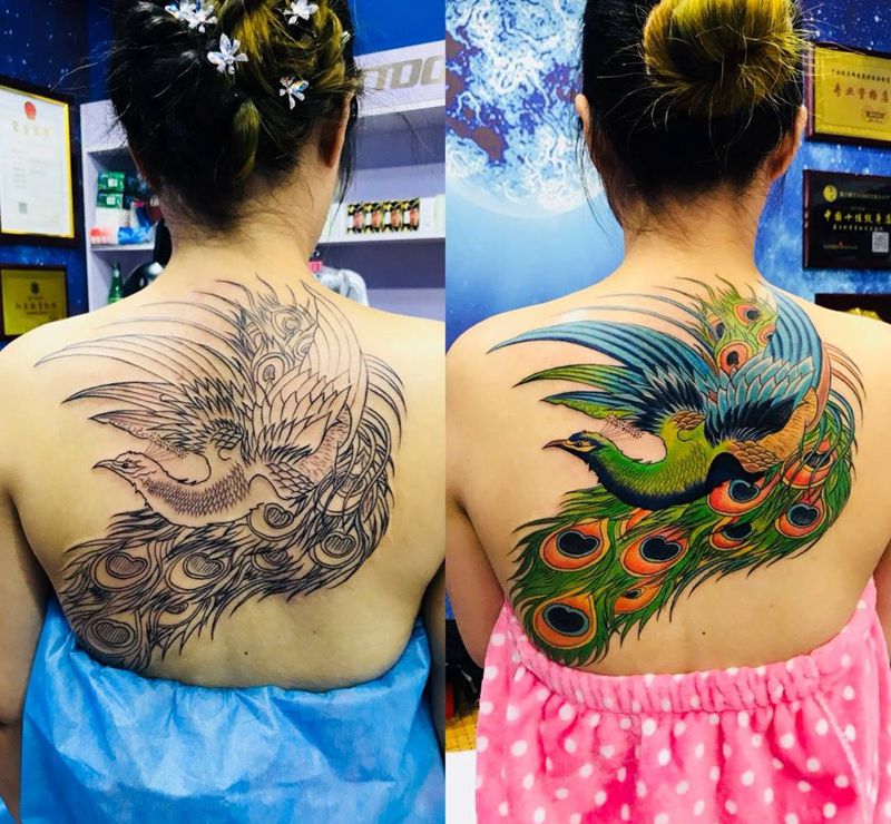 后背彩色孔雀纹身图片