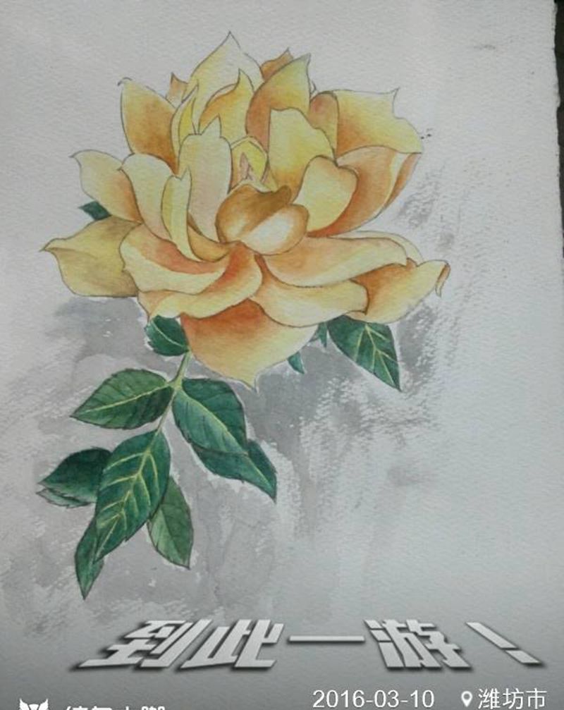 自己画的水彩画纹身图片