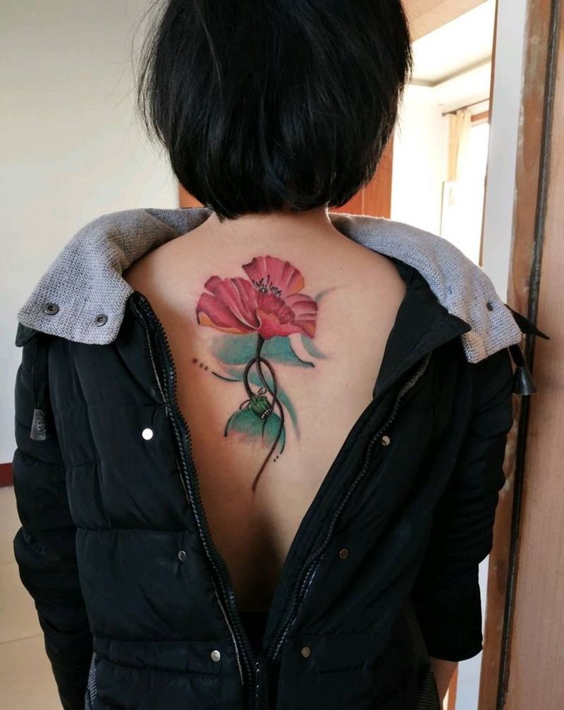 罂粟花纹身图片_植物成品纹身图案