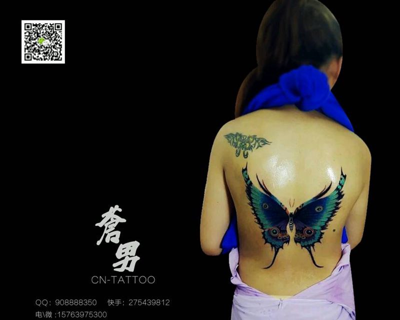 夜孔雀蝴蝶纹身图片_背部欧美清新动物成品纹身图案
