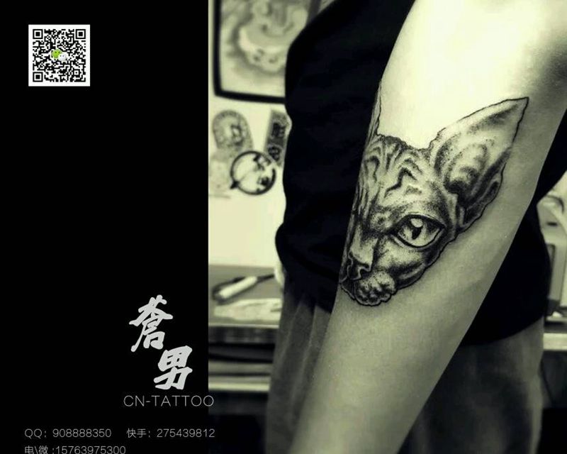 斯芬克斯猫纹身图片_手臂欧美清新动物斯芬克斯成品纹身图案