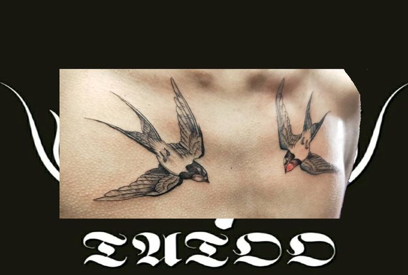 燕子纹身图片