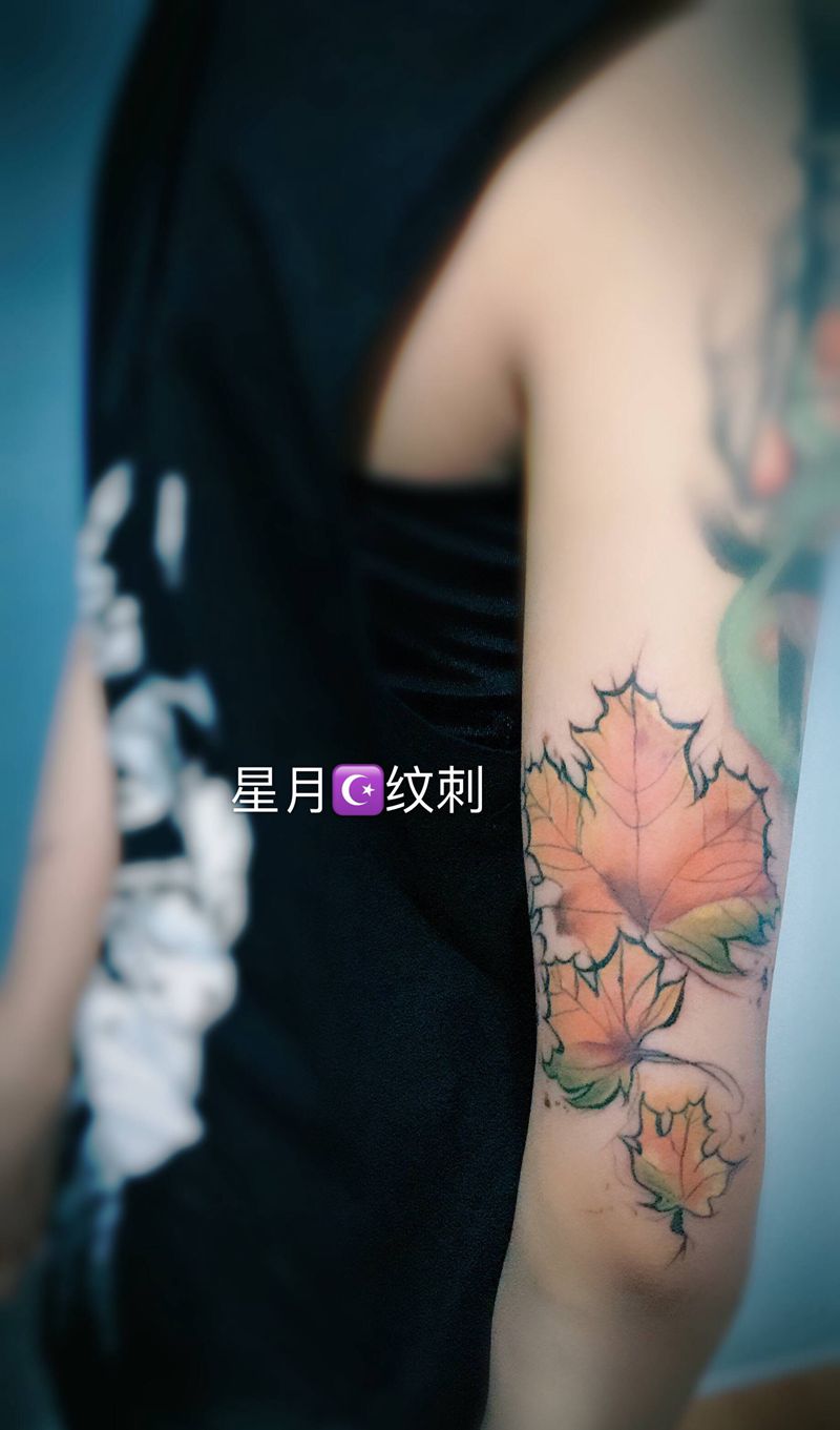 枫叶纹身图片_手臂纹身图案