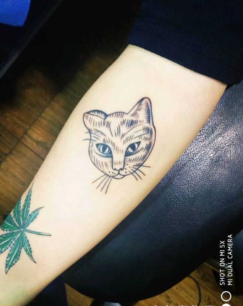 简约猫纹身图片