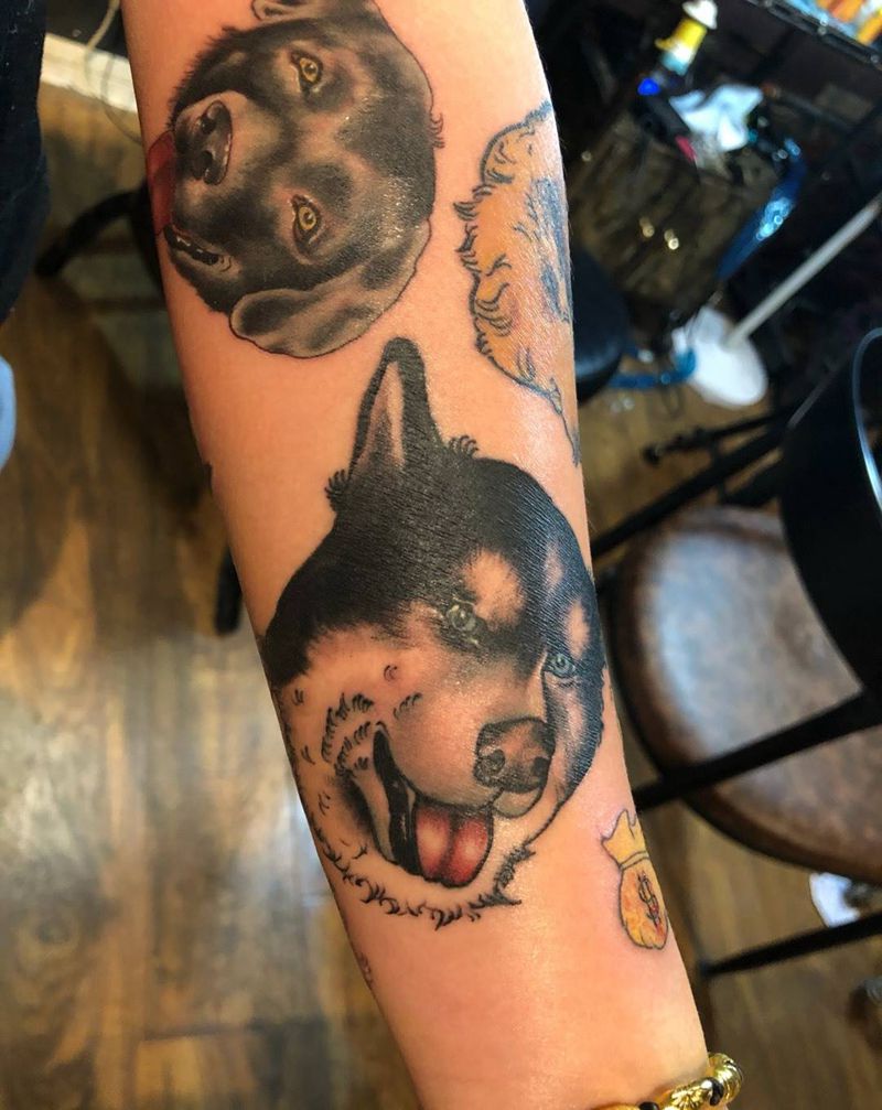 顾客的四条爱犬纹身图片