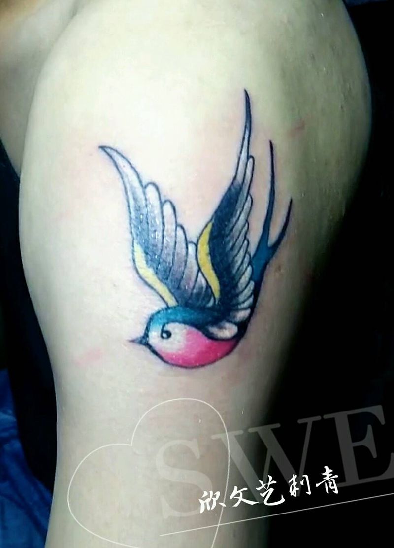 小燕子一只纹身图片
