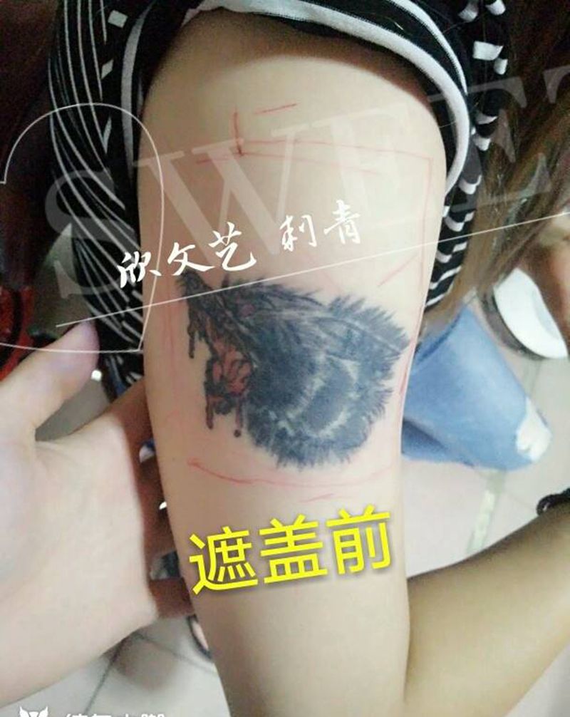 遮盖旧纹身狼头纹身图片