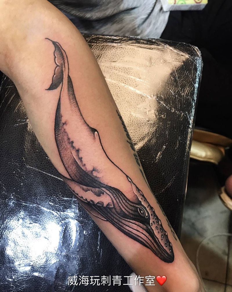 鲸纹身图片