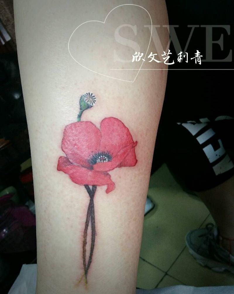 罂粟小作《欣师傅作品》纹身图片_腿部新传统水彩罂粟花纹身图案