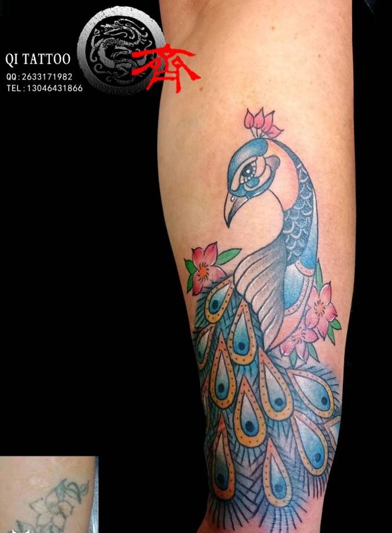 孔雀遮盖疤痕纹身图片_手臂New School纹身图案