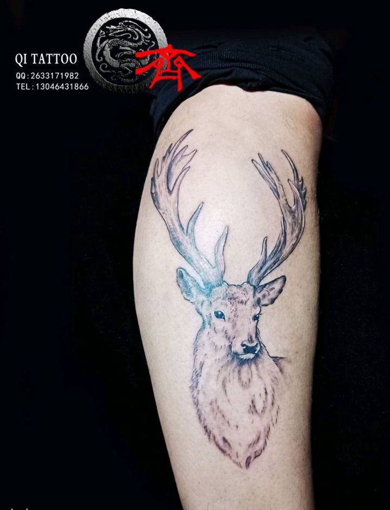 鹿纹身图片