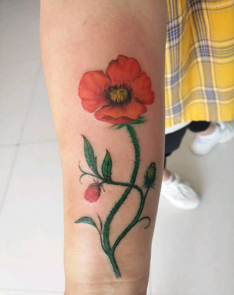 罂粟花纹身图片_手臂水彩纹身图案