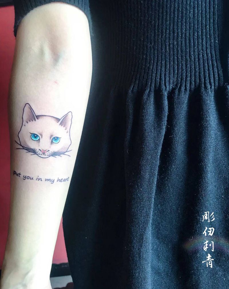 猫纹身图片