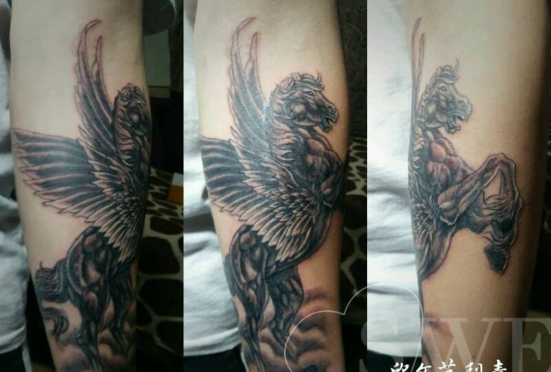 天马《旺师傅作品》纹身图片_手臂手部欧美写实新传统原创天马纹身图案
