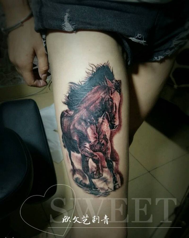素描马《旺师傅作品》纹身图片_腿部欧美写实新传统马写实欧美纹身图案