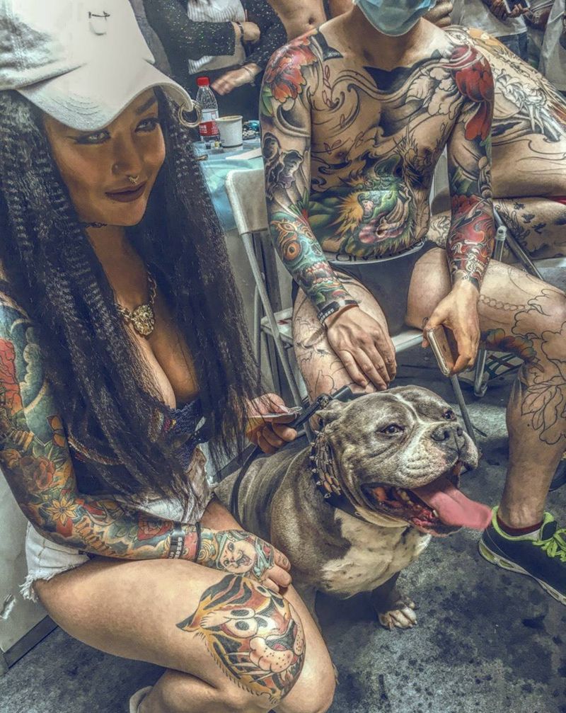 海豹和二蛋太招姑娘了