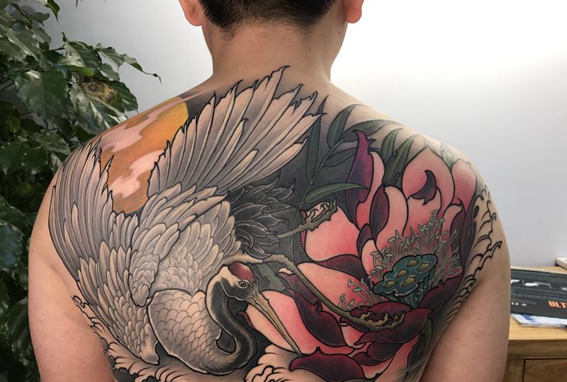 最后扩扩线（彩色恢复后效果）纹身图片_背部肩部新传统鹤仙鹤荷花纹身图案