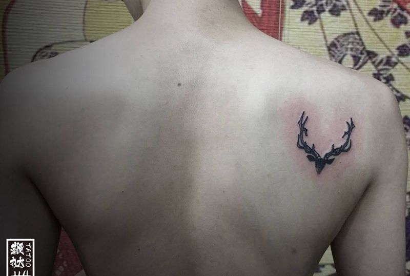 远道而来的客人，第一次体验。纹身图片_肩部点刺鹿纹身图案