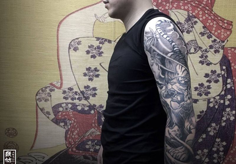 老虎臂终于完成啦