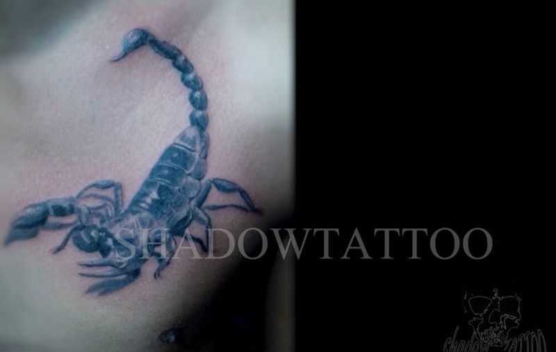 黑灰作品蝎子纹身图片_成品欧美黑灰胸部动物纹身图案