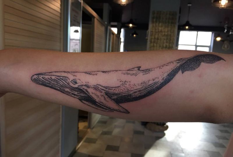 鲸鱼纹身图片_成品手臂清新点刺纹身图案