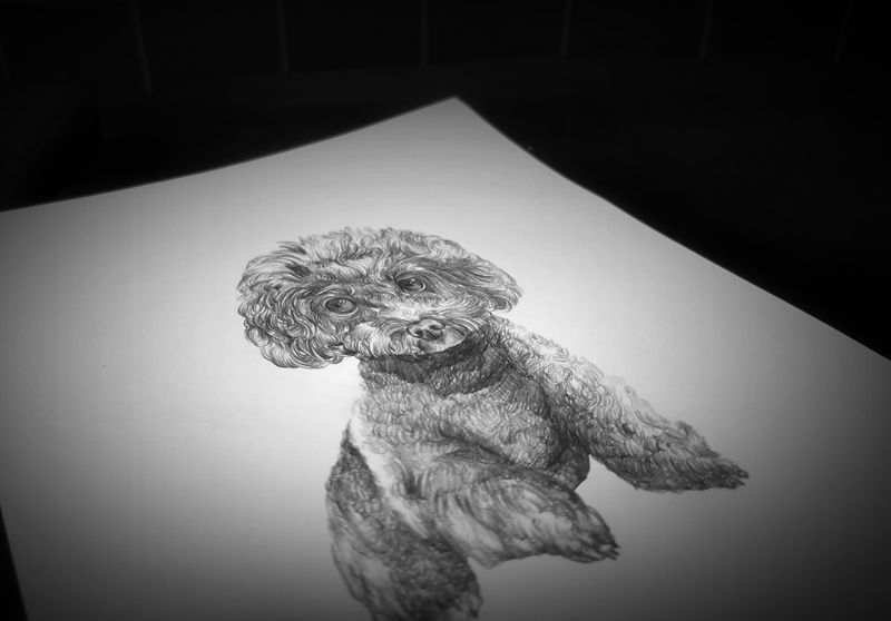 私人订制稿，黑灰底稿。纹身图片_欧美写实纹身图案