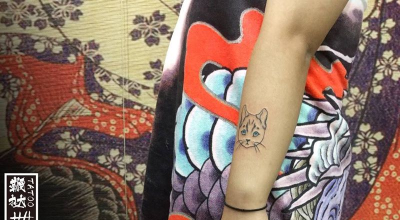 小猫仔纹身图片_手臂猫纹身图案