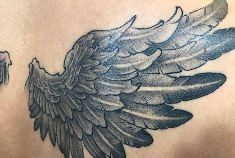 翅膀纹身图片_成品肩部背部腰部欧美清新点刺线条动物原创纹身图案