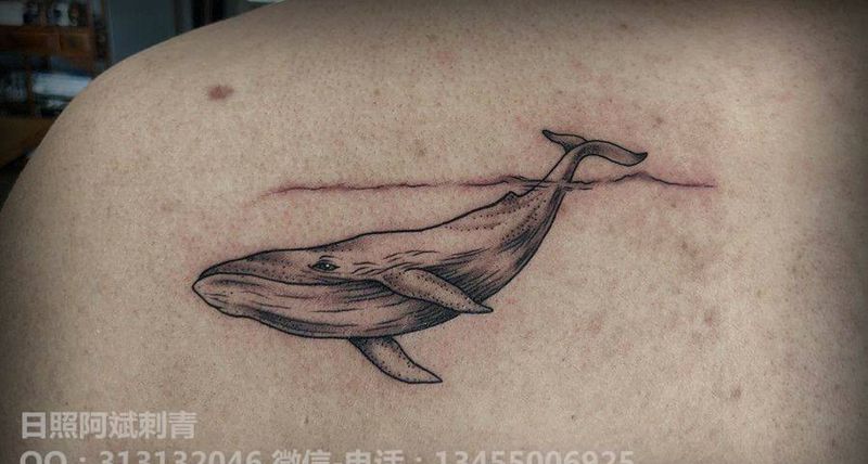 鲸鱼纹身图片_肩部新传统纹身图案