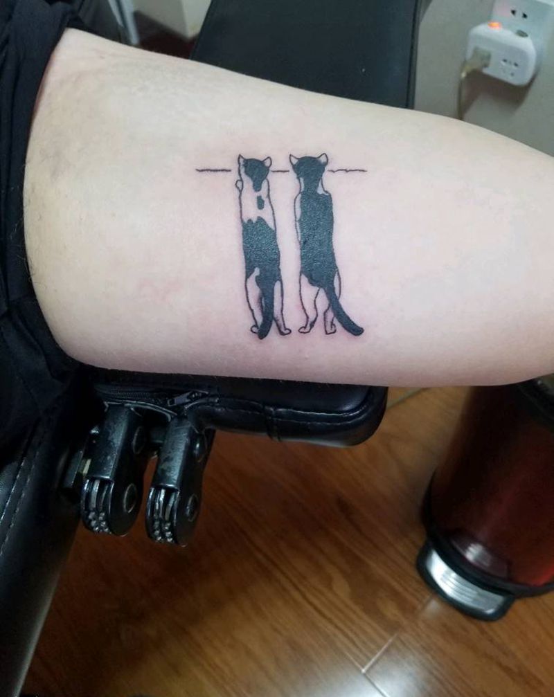 好奇的猫纹身图片