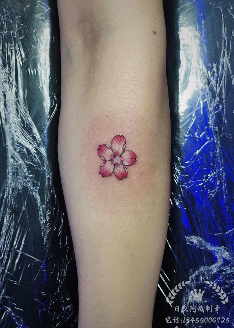 樱花纹身图片_手臂新传统纹身图案