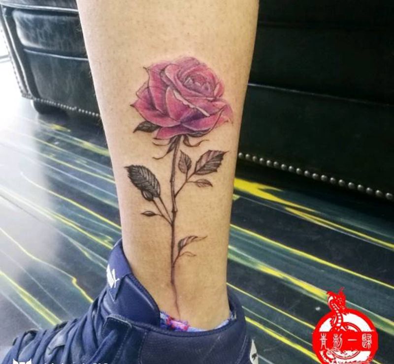 玫瑰纹身图片