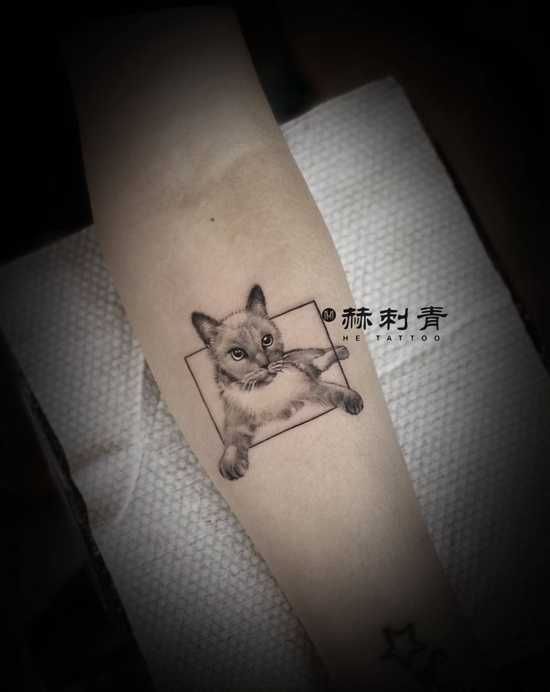 小猫咪纹身图片_手臂纹身图案