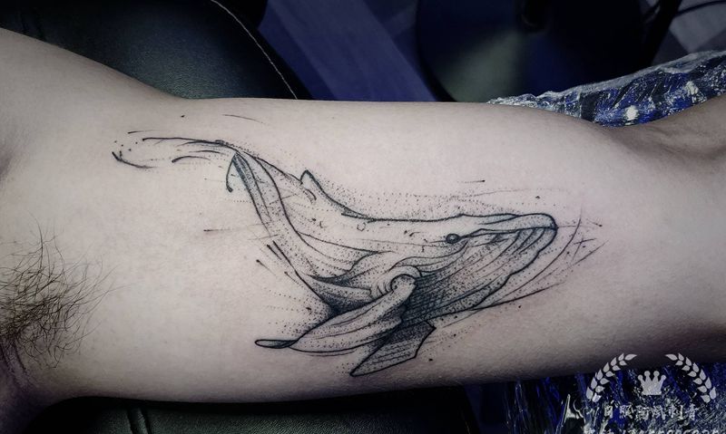 鲸鱼纹身图片_手臂新传统点刺纹身图案
