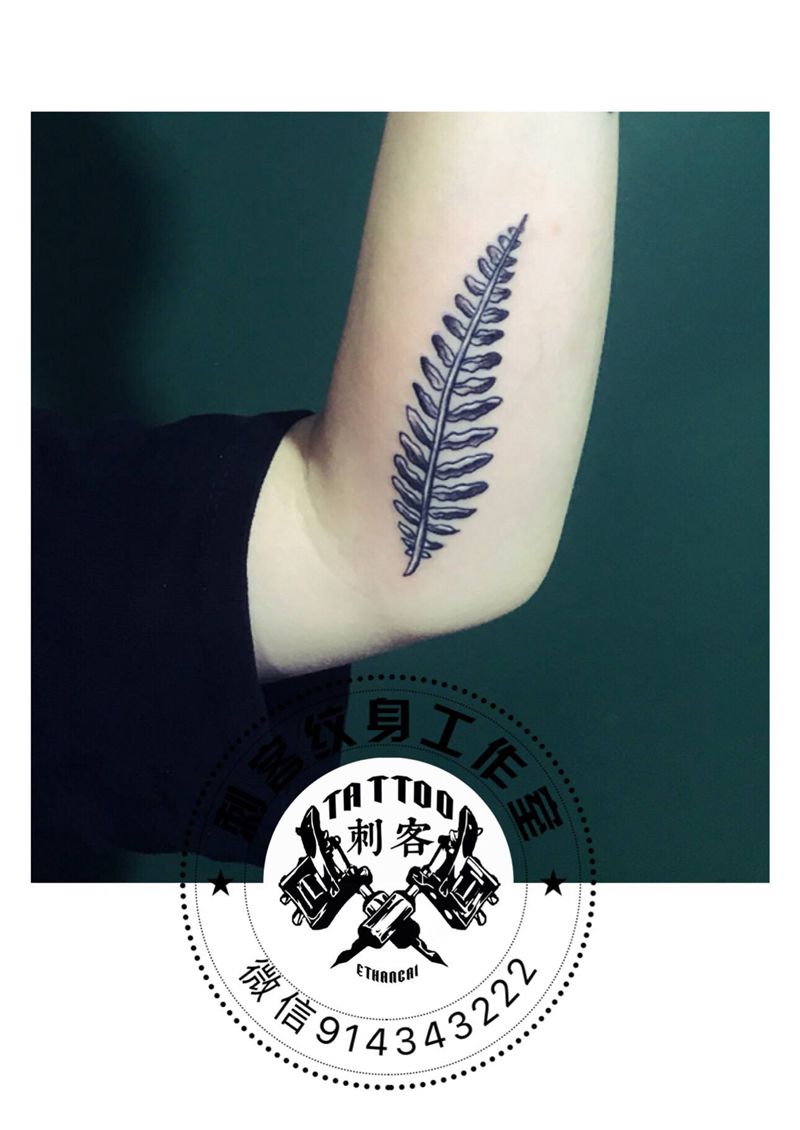 含羞草纹身图片_手臂纹身图案