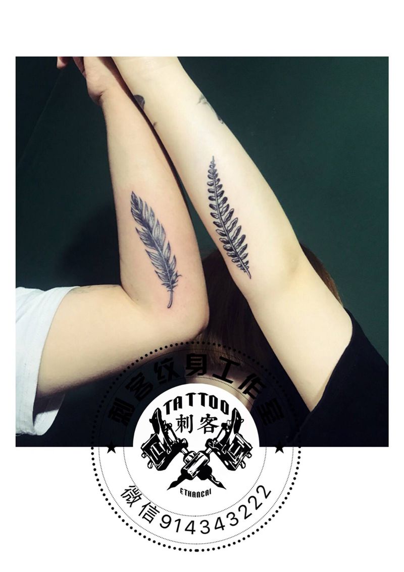 羽毛➕含羞草纹身图片_手臂纹身图案