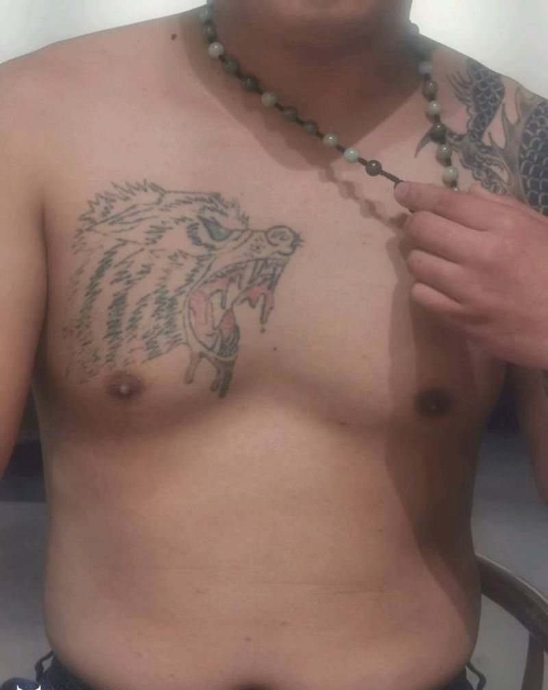 修改一只没毛的狼纹身图片_胸部老传统Old School纹身图案