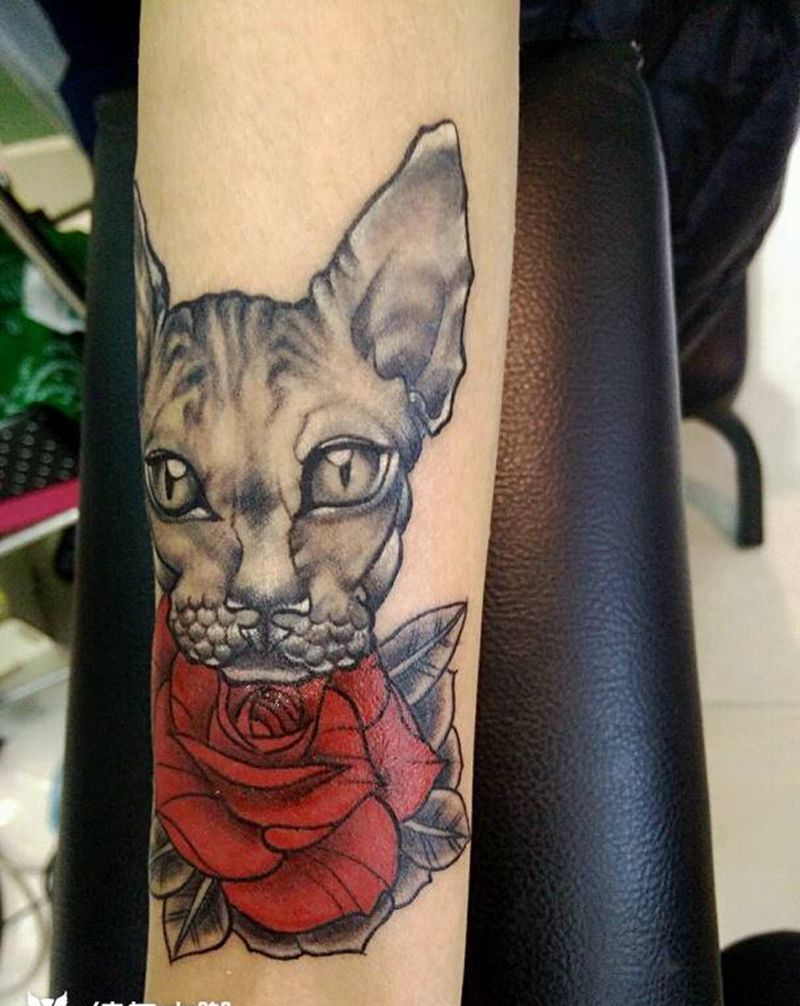 斯芬克斯修改纹身图片