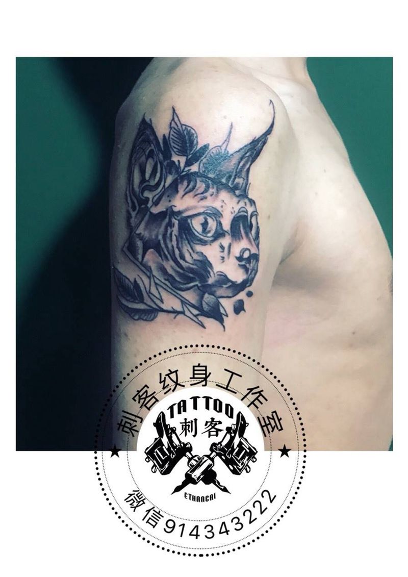 斯芬克斯纹身图片