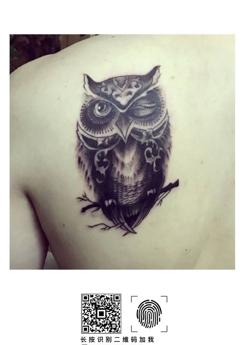 猫头鹰纹身图片