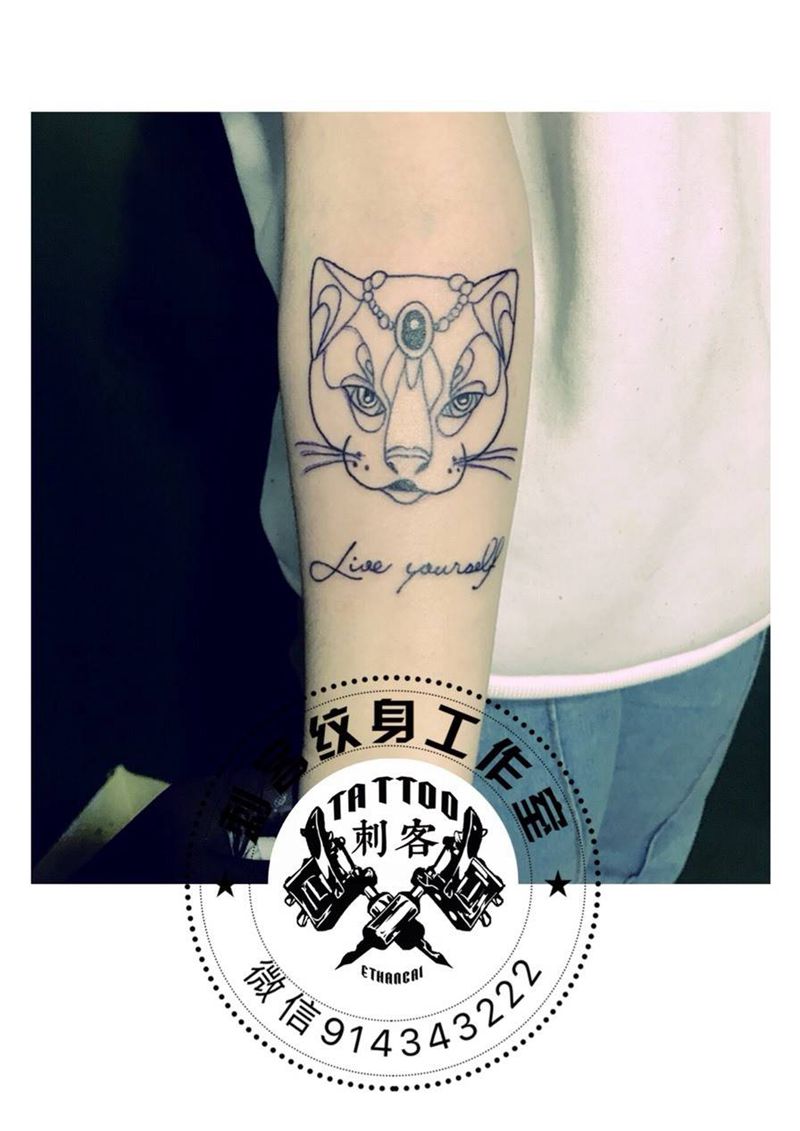 猫纹身图片