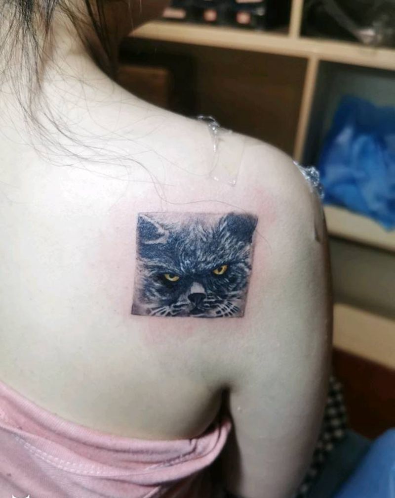 猫纹身图片_肩部背部欧美写实纹身图案