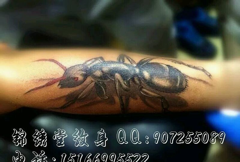 大蚂蚁一名纹身图片