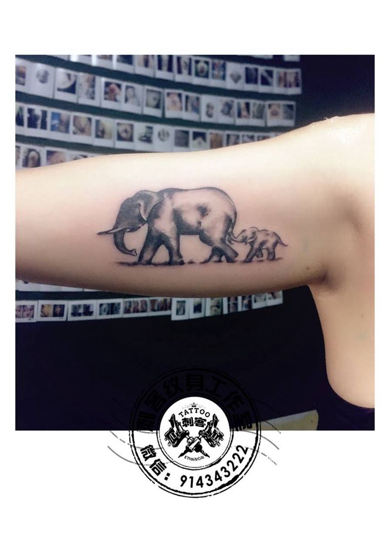 大象小象纹身图片
