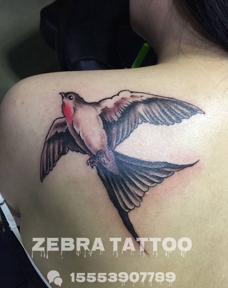 后肩燕子纹身图片