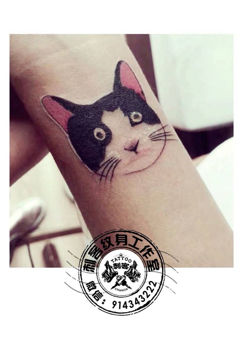 喵纹身图片