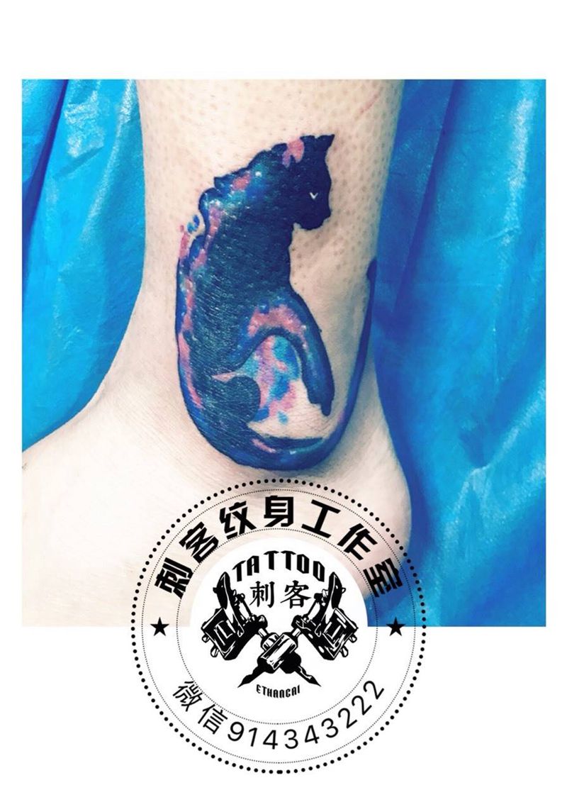 猫遮盖纹身图片