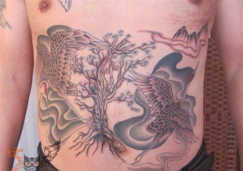 双鹤纹身图片_动物传统腹部成品纹身图案