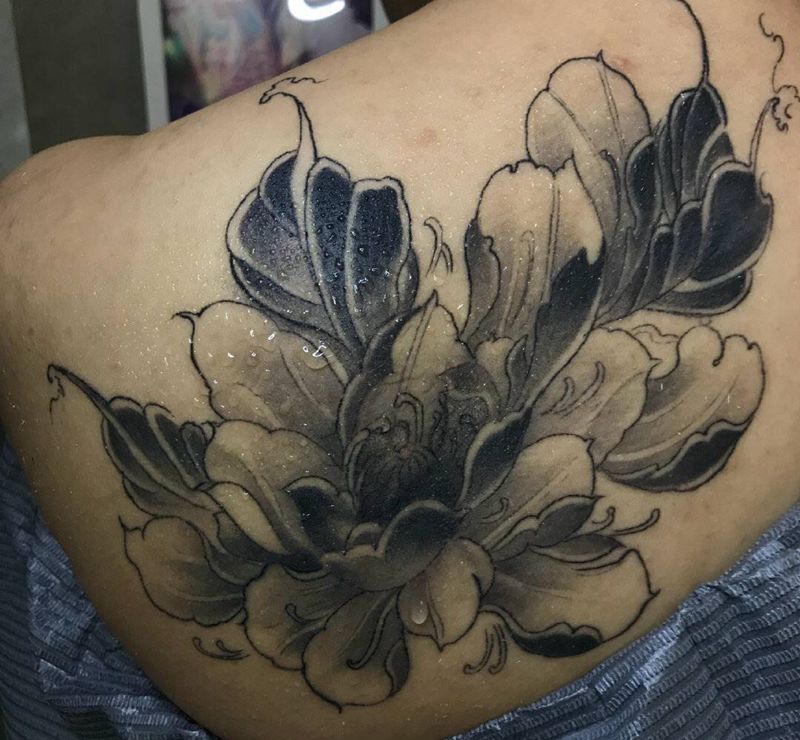 荷花纹身图片_肩部新传统纹身图案