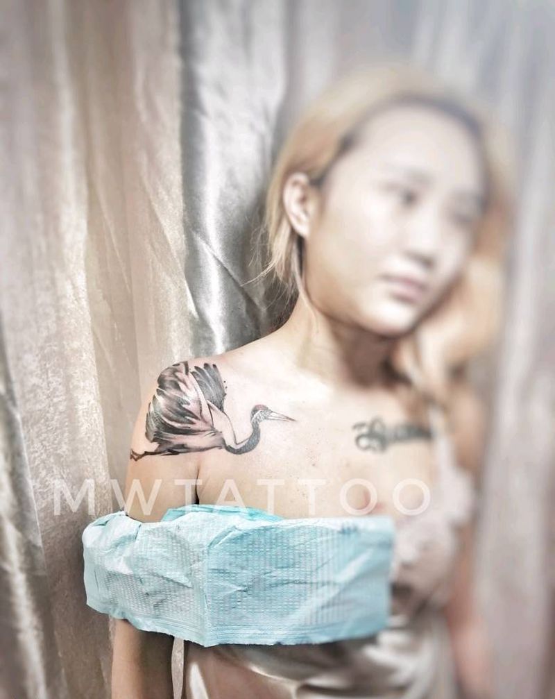 仙鹤纹身图片_胸部肩部新传统纹身图案